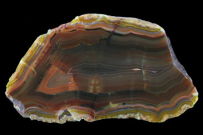 Beautiful Condor Agate From Argentina - Cut/Polished Face #79516